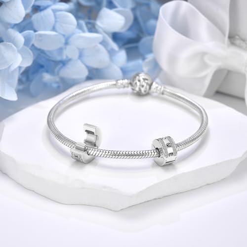 DALARAN Stopper Beads for Bracelets 925 Sterling Silver Clip Spacer Charm Bracelet Stoppers - style: 1Pcs White Charm Stoppers