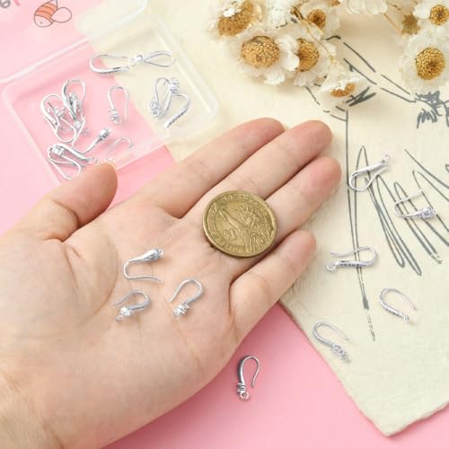 Beebeecraft 1 Box 24Pcs 6 Styles Cubic Zirconia Earring Hooks Sterling Silver Plated Brass French Ear Hooks with Loop for Jewelry Making DIY Earring Crafts - color: 6 Style Earring Hooks Silver