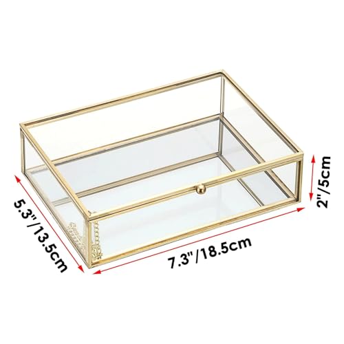 Hipiwe Glass Jewelry Display Box Gold Photo Organizer with Mirror Base Decorative Golden Box for Ring Earring Keepsake Makeup Treasure, 7.3 x 5.3 x 2 Inch - size: 7.3 x 5.3 x 2 Inch