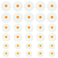 SUNNYCLUE 1 Box 30Pcs Shell Daisy Beads Flower Shell Beads Small Cute White Sunflower Summer Beach Natural Freshwater Loose Spacer for Jewelry Making DIY Earrings Bracelets Crafts Supplies Women Adult
