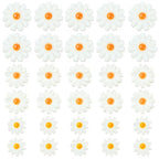 SUNNYCLUE 1 Box 30Pcs Shell Daisy Beads Flower Shell Beads Small Cute White Sunflower Summer Beach Natural Freshwater Loose Spacer for Jewelry Making DIY Earrings Bracelets Crafts Supplies Women Adult