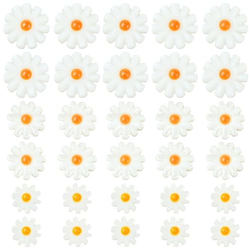 SUNNYCLUE 1 Box 30Pcs Shell Daisy Beads Flower Shell Beads Small Cute White Sunflower Summer Beach Natural Freshwater Loose Spacer for Jewelry Making DIY Earrings Bracelets Crafts Supplies Women Adult