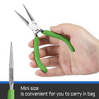 Small Needle Nose Pliers for Jewelry Making, 5 Inches Long Nose Pliers with Long Tapering Mini Pliers Serrated Jaws for Bending Wire, Gripping - style: Needle Nose Plier