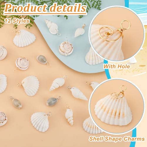 PH PandaHall 72pcs 12 Styles Natural Shell Pendants White Scallop Spiral Cowrie Shell Pendants Natural Seashells Charms Jewelry Charms for Jewelry Making Home Decor Wedding Summer Ocean Beach Party