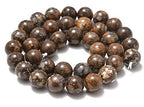 AD Beads Natural Gemstone Smooth Round Loose Beads 15“ 6mm 8mm 10mm (6mm, Snail Fossils) - color: Snail Fossils, size: 6mm