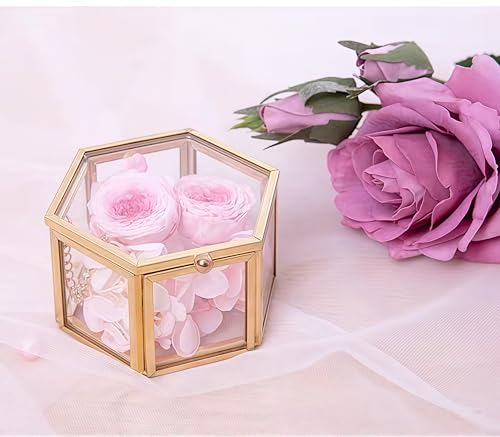 JIARI Glass Jewelry Box Small Gold Hexagonal Decorative Box Ring Earring Display Keepsake Box Case Box for Storage (Small 2 Pack)