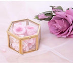 JIARI Glass Jewelry Box Small Gold Hexagonal Decorative Box Ring Earring Display Keepsake Box Case Box for Storage (Small 2 Pack)