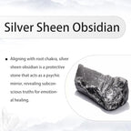 TUMBEELLUWA Natural Gemstone Beads for Jewelry Making, Rondelle Large Hole Loose Beads Pack of 15,Silver Sheen Obsidian(8x14mm) - color: Black