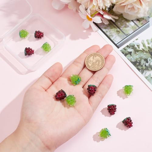NBEADS 12 Pcs Handmade Lampwork Beads, 14mm Glass Fruit Beads Glass Grape Beads Loose Lampwork Spacer Beads for DIY Necklace Bracelet Earring Jewelry Making Crafts,2 Color