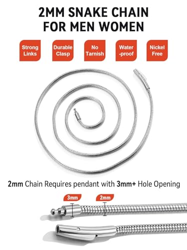 FaithHeart Stainless Steel Chains for Men, Silver/Black/14K Gold Plated Snake/Wheat/Box/Rope/Rolo Chain Necklace 16-30 Inches with Delicate Gift Box - color: 01. Snake Chain-Silver, size: Length 16 Inches