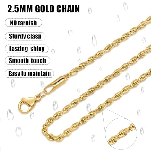 Fiusem 18K Gold Plated Rope Chain for Men, 18K Gold Plated/Black Chain Necklace, Stainless Steel Necklace for Men and Women, Jewelry Gifts - size: 20 Inches, style: Gold 2.5mm