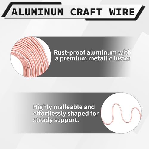 12 Gauge Aluminum Craft Wire, 100 Feet 2mm Bendable Metal Wire for Jewelry Making, Sculpting and Floral Design, Soft Armature Wire for DIY Crafts (Champagne) - size: 12 Gauge(2mm), style: Champagne