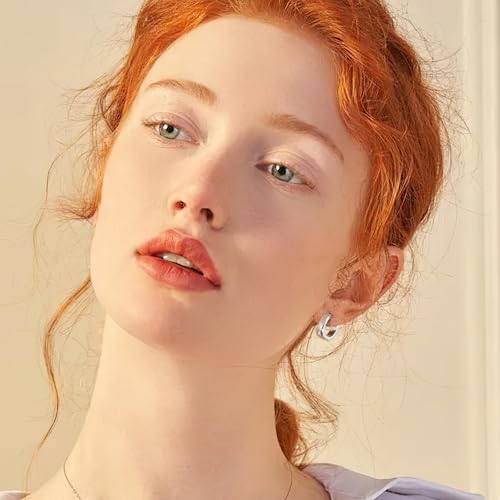 925 Sterling Silver Earrings Small Chunky Hoop Earrings for Women Trendy Huggie Hoop Earrings 14K Gold Plated Hypoallergenic Earrings Small Thick Huggie Hoops Earrings - color: Silver