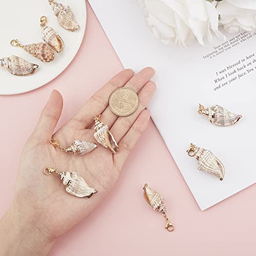 SUNNYCLUE 10Pcs Seashell Charms Oval Ocean Beach Spiral Natural Cowrie Conch Shells Large Charm Pendants with Lobster Claw Clasps for Jewelry Making DIY Necklace Bracelet Earring Supplies Accessories - color: 10Pcs Lobster Clasps Seashell Charms