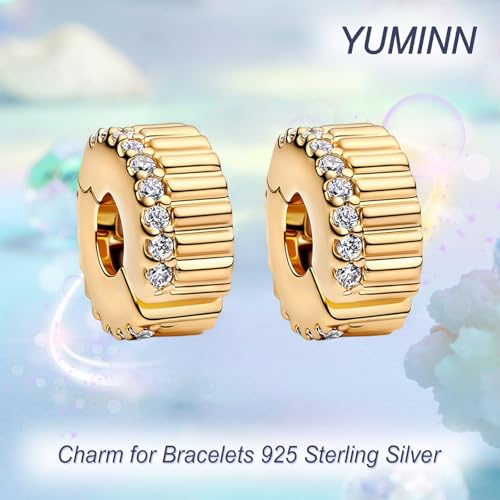 925 Sterling Silver Charms for Bracelets Gold Love and Heart Charms Cherry Blossom Dangle Beads Jewelry for Women - color: Gold Diamond Clip x2