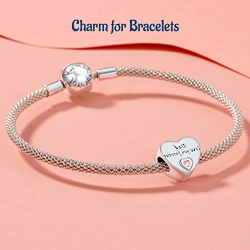 Mothers Day Birthday Number Love Family Friendship Graduation Auntie Grandma Dad Mom Charms for Pandora Bracelets Necklaces, Gifts Women, for Anniversary Valentines Christmas - style: Dad Charm