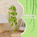 Kogyxe Beginners Crochet Kit, Amigurumi Crochet Starter Kits w Step-by-Step Video Tutorials, Hanging Potted Plants Knitting Starter Pack for Beginners Decoration, Plants Family (40%+ Yarn) - size: Plants Monstera