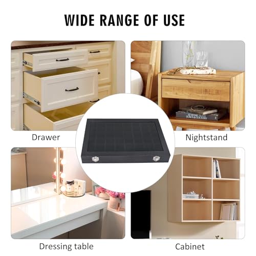 Siveit Jewelry Tray Organizer Box 48 Grid Jewelry Display Organizer Box with Transparent Lid Rings Earrings Necklaces Pendants Display Box Suitable for Women and Girls (48 Grid, Black) - color: Black