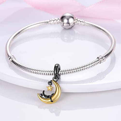 MULA 925 Sterling Silver Charms for Bracelets and Necklaces Lipstick and Bag Dangle Pendants Tower Camera Beads Jewelry Charms for Women - color: Cat and Moon Charm