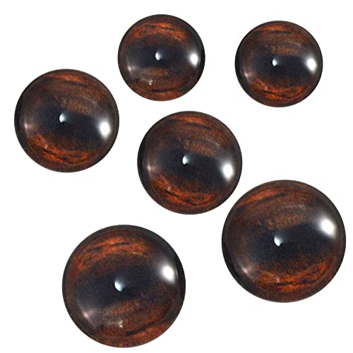 Brown Horse Eyes 3 Pair Bundle Small Meduim or Large Sizes Realistic Animal Faux Taxidermy Art Jewelry Supply Wire Wrap Jewelry Felt Creature Craft Sculpture (Meduim Bundle (12mm, 14mm, and 16mm))