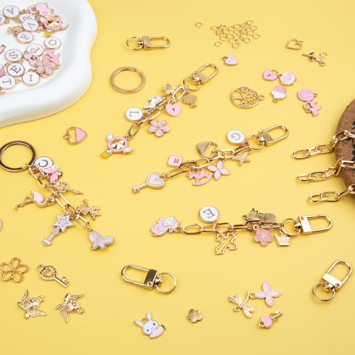 HOMAR 223Pcs DIY Keychain Making Kit Bag Charm Jewelry Chain Making 86 Mixed Color Charms 10 Keychain Clips with Key Ring 15 Extender Chains 100 Jump Ring for DIY Craft Gifts - color: Keychain-2223PCS