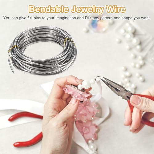 M METERXITY 10 Gauge Stainless Steel Craft Wire, 2.5mm 32.8 ft Bendable Floral Snare Wire for Jewelry Making/Sculpting/Armature Crafting/Floral Bonsai/DIY Crafts - size: 10 Gauge x 32.8 ft