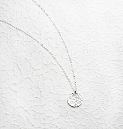 Valloey Rover Gold Necklace for Women 14K Gold Plated Circle Cubic Zirconia Pendant Necklace Dainty Twist Rope Chain Necklace Simple Jewelry Gift for Women - style: Sliver-full moon