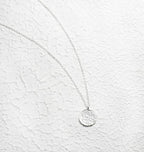 Valloey Rover Gold Necklace for Women 14K Gold Plated Circle Cubic Zirconia Pendant Necklace Dainty Twist Rope Chain Necklace Simple Jewelry Gift for Women - style: Sliver-full moon