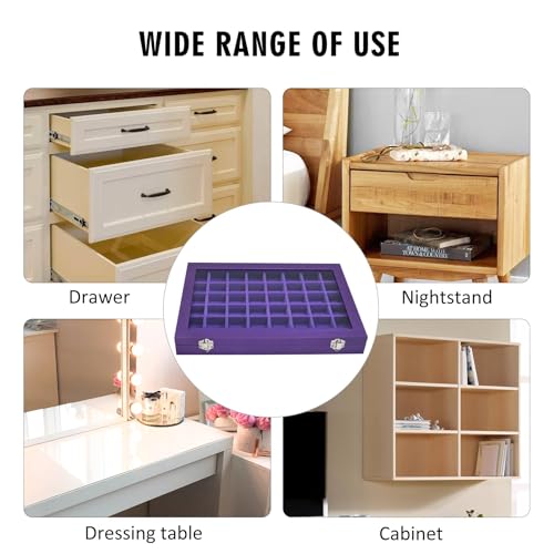 Siveit Jewelry Tray Organizer Box 48 Grid Jewelry Display Organizer Box with Transparent Lid Rings Earrings Necklaces Pendants Display Box Suitable for Women and Girls (48 Grid, Purple) - color: Purple