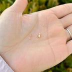 200pcs Adabele Real 1/20 14K Gold Filled Seamless 2mm (0.08 Inch) Tiny Small Round Loose Beads Spacer Non Tarnish for DIY Craft Jewelry Making JK2-A2 - color: 14K Gold Filled, size: 2mm (0.08") - 200pcs