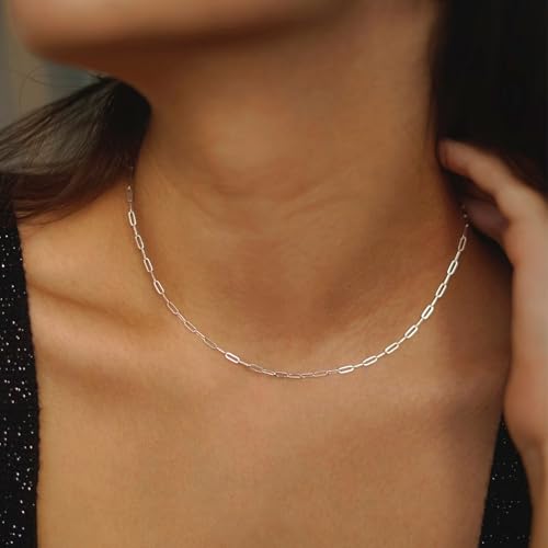 Swyabi 20 Pack Stainless Steel Paperclip Chains Link Adjustable Necklace Bracelet Bulk for Men Women DIY Bracelets Crafts - color: 2.5x6.5mm Silver