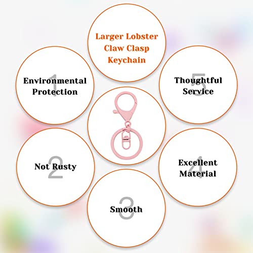 30Pcs Lobster Claw Clasps Keychain for Jewelry Making,Metal Lobster Clasp Swivel Trigger Clips with Swivel Clasps Hook Clips Flat Split Keychain Ring for DIY Craft Jewelry Making(Light Pink) - color: Light Pink