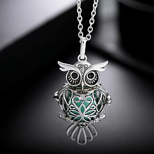 Mixed Pearl Cage Locket Pendants Set, Essential Oil Diffuser DIY Necklace Bracelet Jewelry Making Craft, Bulk Beads Aromatherapy Diffuser Charms Gifts for Women Girls - color: Mixed 10pcs Diffusers