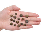 BronaGrand 100 Gram(About 150-250pcs) Bali Style Jewelry Making Metal Bead Caps Deluxe New Mix,Bronze - color: Bronze