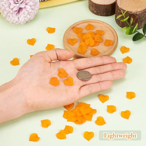 50Pcs Frosted Acrylic Leaf Charms Orange Transparent Plant Pendants Clear Autumn Leaves Beads Autumn Charms for Jewelry Making - color: Orange #2