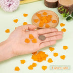 50Pcs Frosted Acrylic Leaf Charms Orange Transparent Plant Pendants Clear Autumn Leaves Beads Autumn Charms for Jewelry Making - color: Orange #2