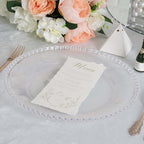13" Charger Plates - Set of 24 - Clear Round Acrylic Disposable Chargers with Beaded Rim, Ideal for Dinner Party Wedding Bulk Events - color: Clear, size: 13" Charger Plate, 24 Pack