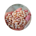 50 Pcs Real Pearls for Jewelry Making AAA 7-8 mm Non-Porous Natural Pearls Beads Oval Bead Loose Gemstone Bead Crafts Gift for Mother's Day.,DIY Gifts. - color: 7-8 mm no holes.