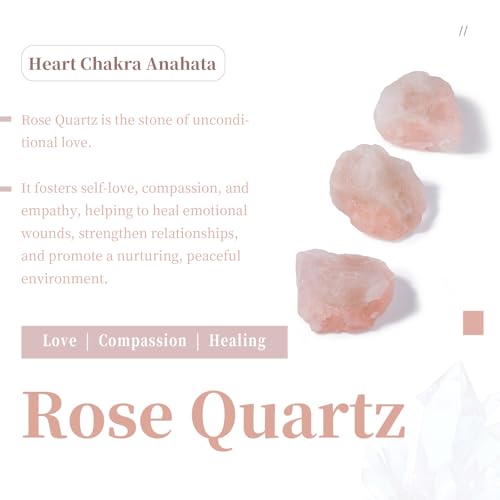 SUNYIK Rose Quartz Large Hole (6mm) Rondelle Loose Charms European Bead fits Bracelet,Jewelry Makings Pack of 20 - color: Pink-Rose Quartz, size: 14x8mm