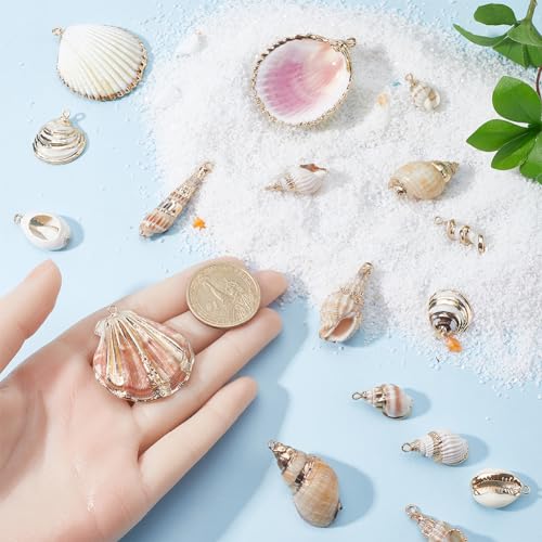 SUNNYCLUE 1 Box 20Pcs 10 Styles Sea Shell Charms Bulk Seashell Charms Natural Cowrie Conch Seashells Ocean Sea Shells Beach Charm for Jewelry Making Charms Women DIY Necklaces Earrings Bracelets - color: 1 Box 20Pcs 10 Styles Sea Shell Charms