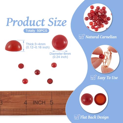 Fashewelry 50Pcs Natural Carnelian Cabochon Stone Half Round Beads 6mm Flat Back Gemstone Chakra Healing Crystal Dome Cover Cabs for Jewelry Making - color: 7-Carnelian, size: 6x3~4mm