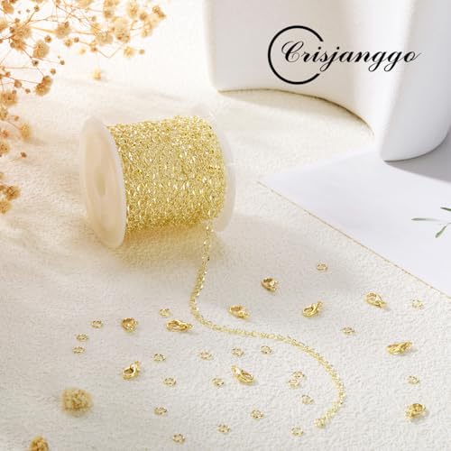 Crisjanggo 16 Feet Jewelry Making Chains 14K Gold Plated Brass Lip Chains for Women DIY Jewelry Making Supplies with Lobster Clasps and Jump Rings - color: Lip Gold