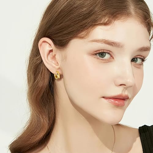 925 Sterling Silver Earrings Small Chunky Hoop Earrings for Women Trendy Huggie Hoop Earrings 14K Gold Plated Hypoallergenic Earrings Small Thick Huggie Hoops Earrings - color: 14K Gold