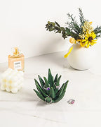 PUDDING CABIN Succulent Ring Holder, Ring Stand, Ring Display & Organizer, Cactus Aesthetic Preppy Room Decor, Birthday Gift for Women Friends, Christmas Green Room Decor - style: Cactus