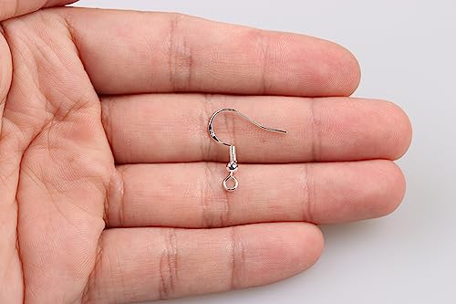 925 Sterling Silver Earring Hooks 50 PCS - Hypoallergenic Jewelry Making Supplies With Fish Hooks, Ear Wires, Findings for DIY Earrings - color: Silver