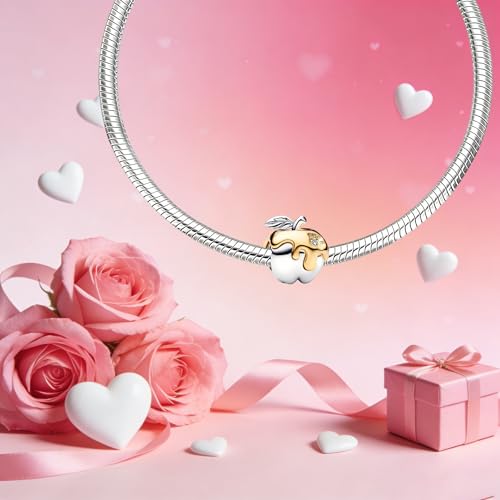 Mother Heart Charms for Bracelets Love Mom Flowers Charm Jewellery for Women - style: Apple Fruit Charms