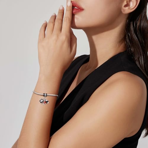 DALARAN Stopper Beads for Bracelets 925 Sterling Silver Clip Spacer Charm Bracelet Stoppers - style: 4Pcs Black Charm Stoppers