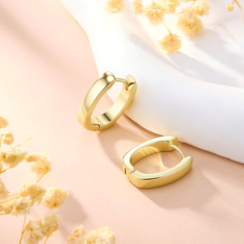 925 Sterling Silver Earrings Small Chunky Hoop Earrings for Women Trendy Huggie Hoop Earrings 14K Gold Plated Hypoallergenic Earrings Small Thick Huggie Hoops Earrings - color: Gold2