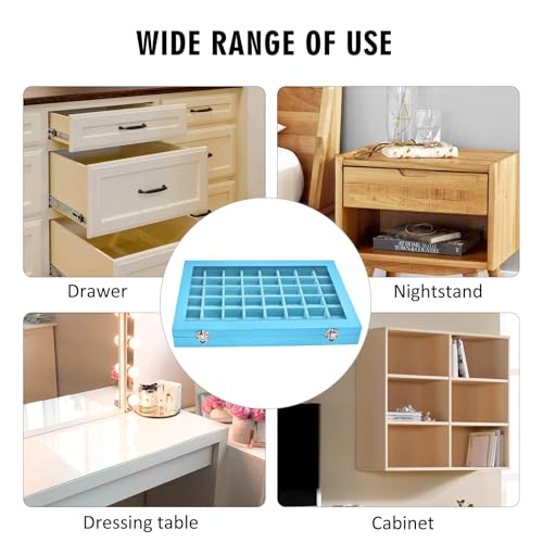 Siveit Jewelry Tray Organizer Box 48 Grid Jewelry Display Organizer Box with Transparent Lid Rings Earrings Necklaces Pendants Display Box Suitable for Women and Girls (48 Grid, Sky Blue) - color: Sky Blue