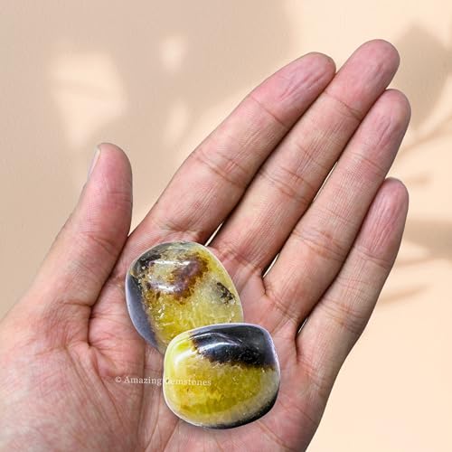 Amazing Gemstone Septarian Crystal Tumbled Stones Polished Rocks - Natural Gem Stones for Healing - DIY Crystals for Protection (1 Piece) - color: Septarian